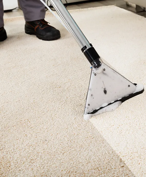 carpet cleaning modesto
