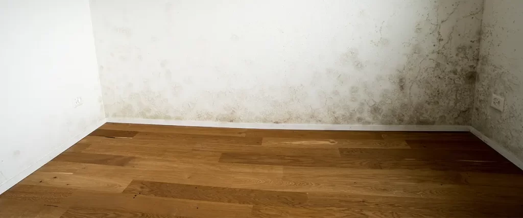 wood floor with mold caused by water damage